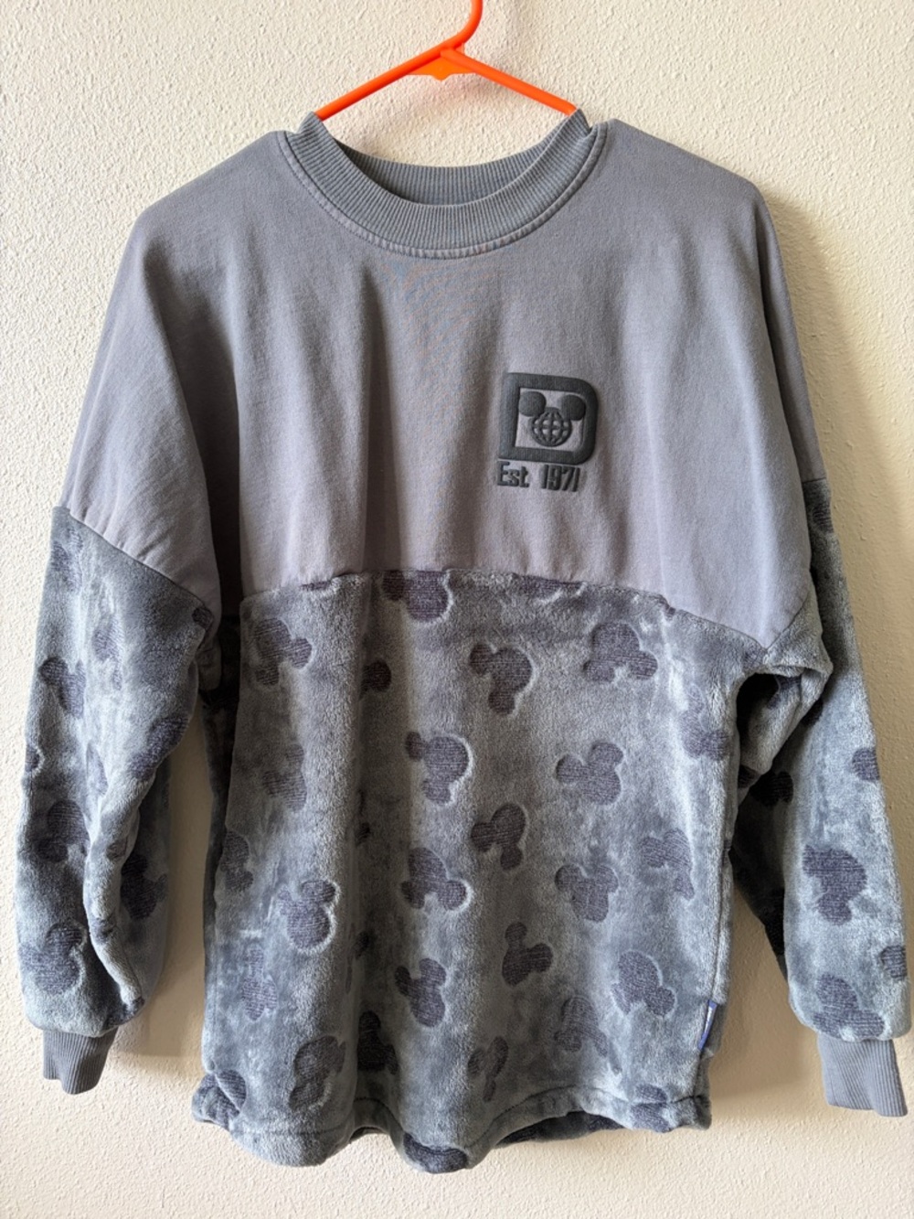 Disney World Spirit Jersey